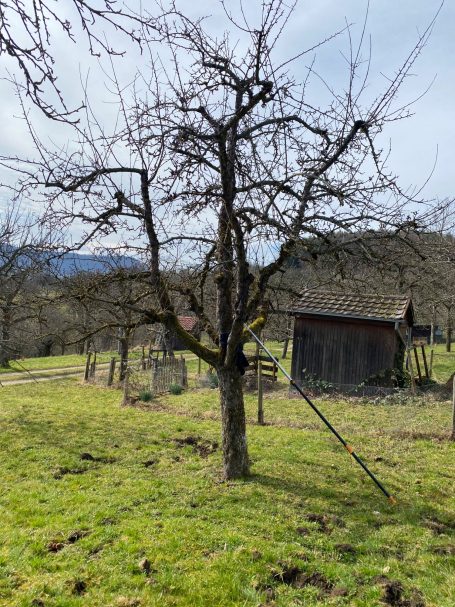 vorher